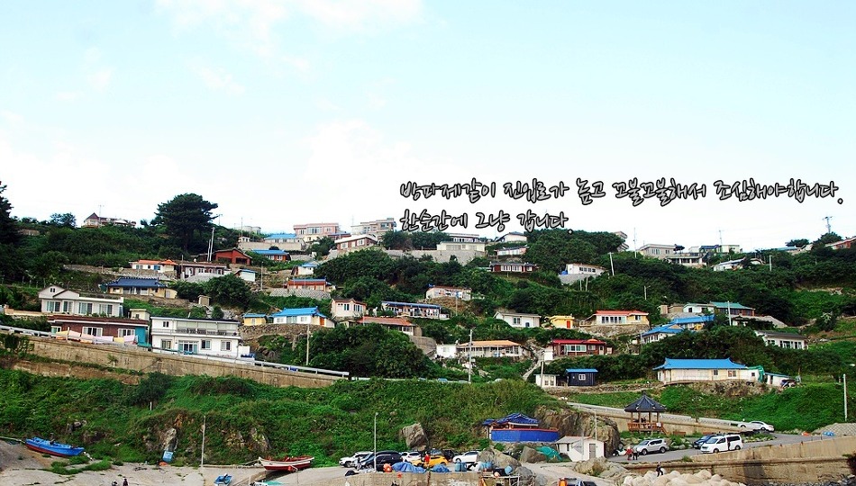 차유 이미지