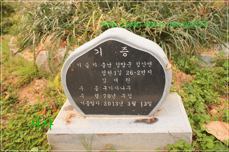청양 구기자 시험장