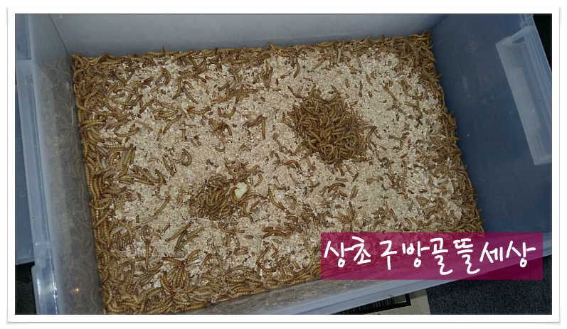 코너농산물가공 이미지