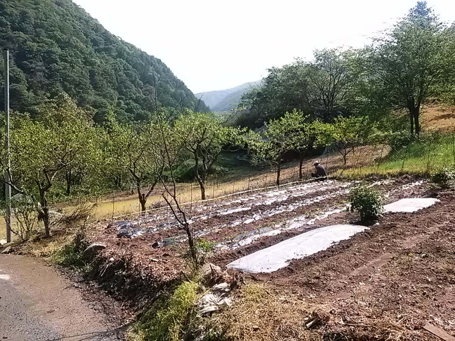 두메산골 이미지
