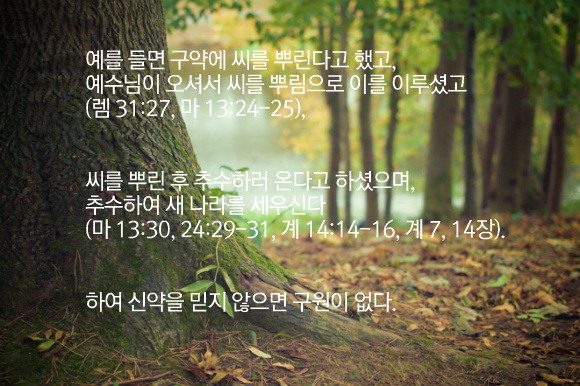성경의 마지막 숲길을 걸을때 우리의 믿음