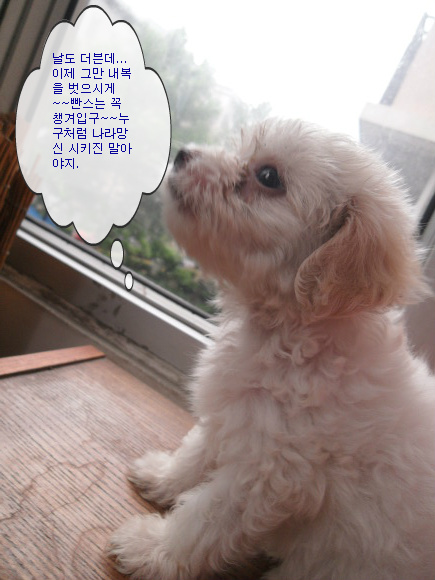졸업 앨범 사진 찍다 내복 때문에 빵 터진 학생들