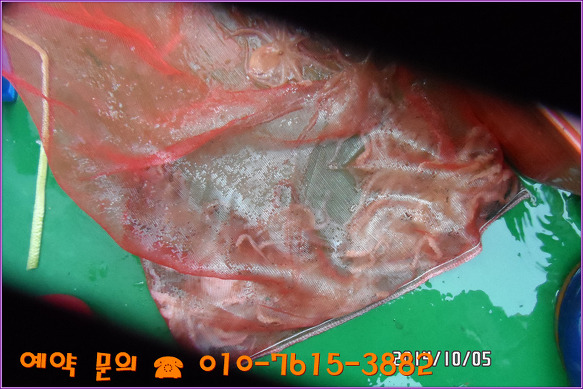 236C9940543111F50D479C