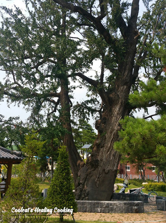 소백산풍기온천리조트 이미지