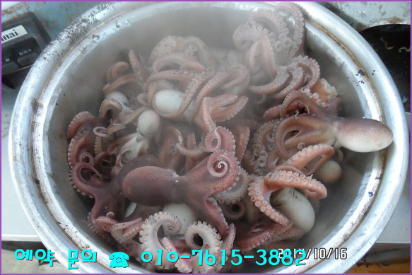 2447913F543FE61711B35C