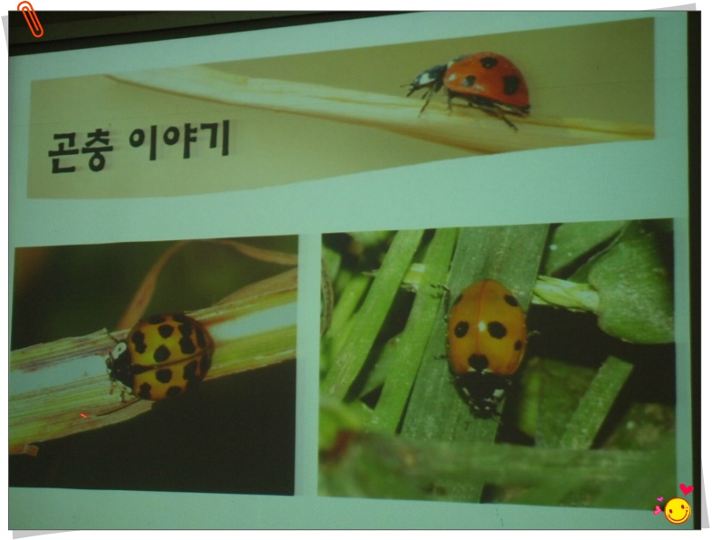 안수정 이미지