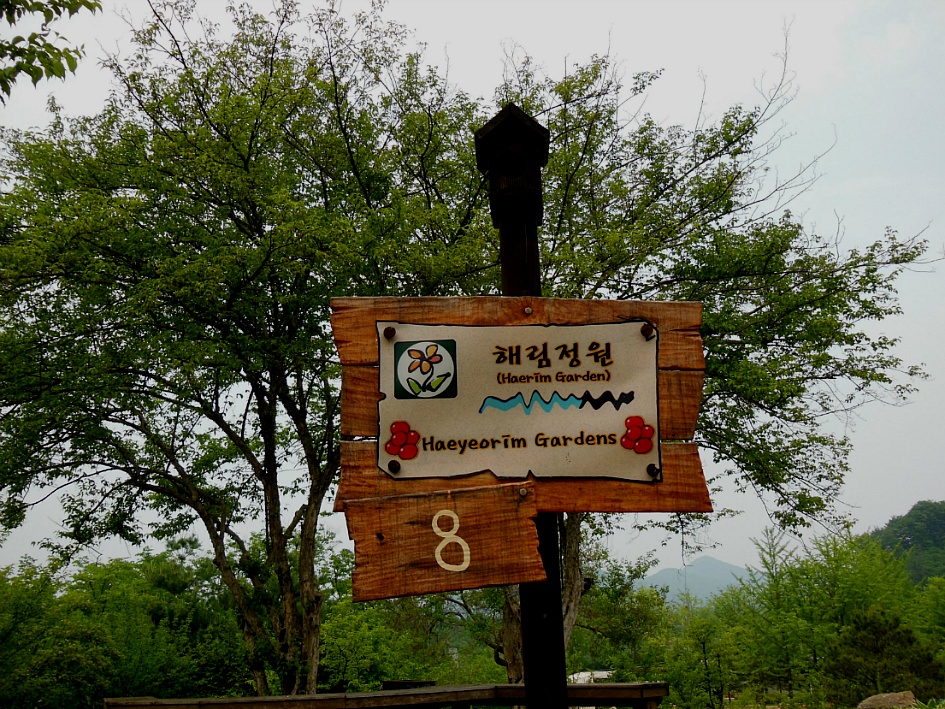 아이리스원 이미지