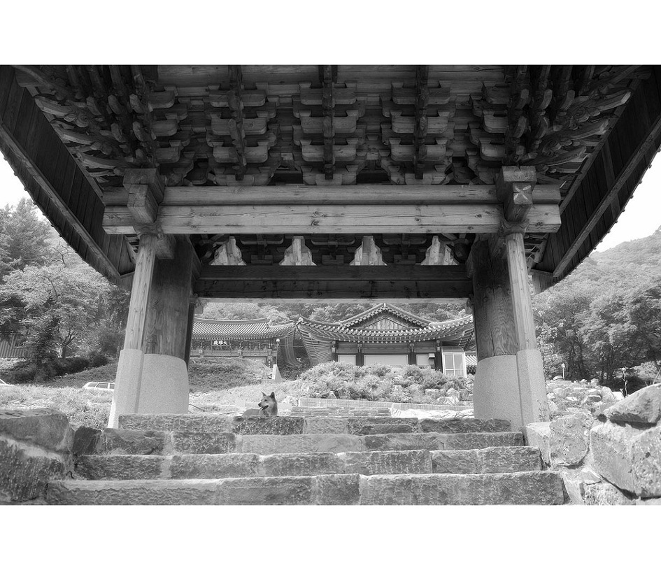 內觀之三十二  : <볼 것> 없어서 편안한 곳