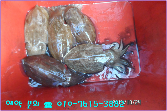 255EE13B544A3BD4185002
