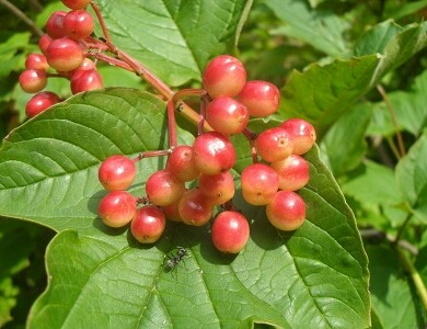 나의 하루 시작을 하나님께  감사합니다 
