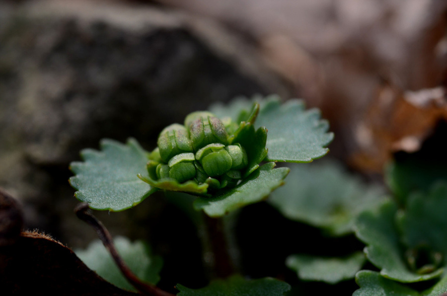 아직은 찬기운이 가득남았다.