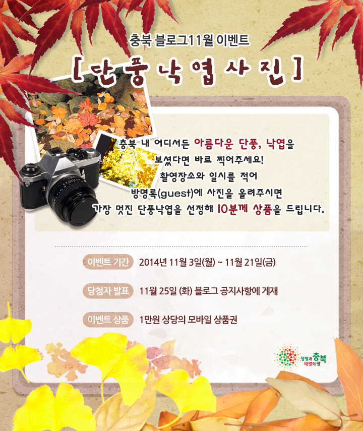 11월 이벤트 [단풍 낙엽 사진]
