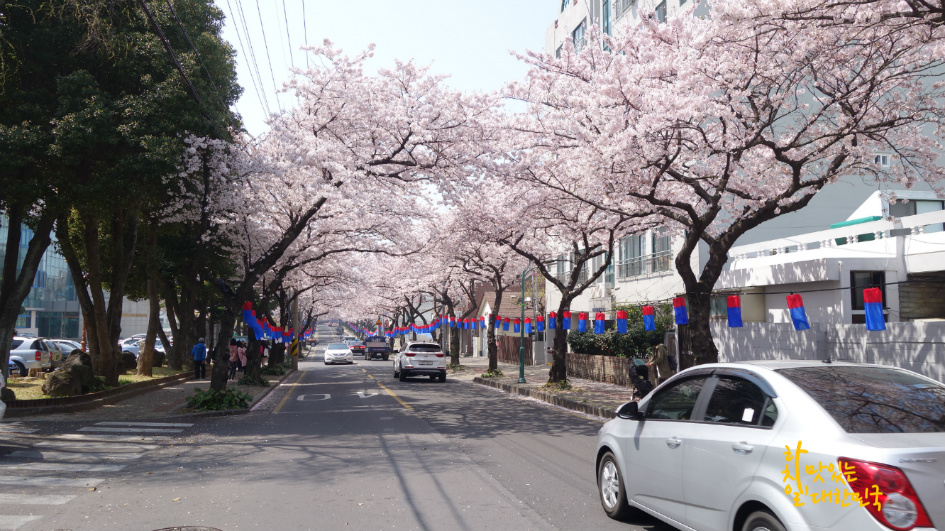 대광식당 이미지