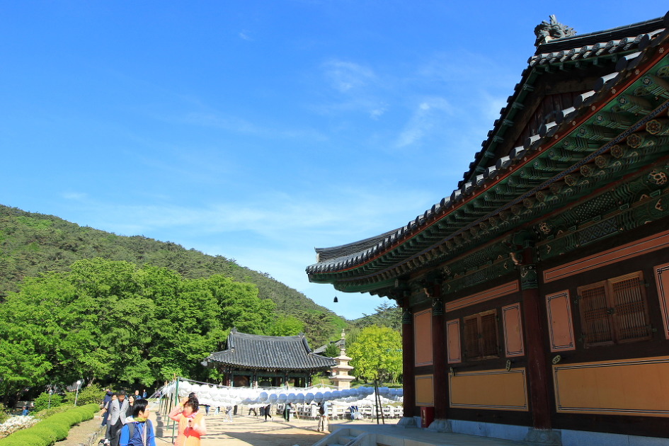 문경 봉암사를 찾아서..(2016.5.14)