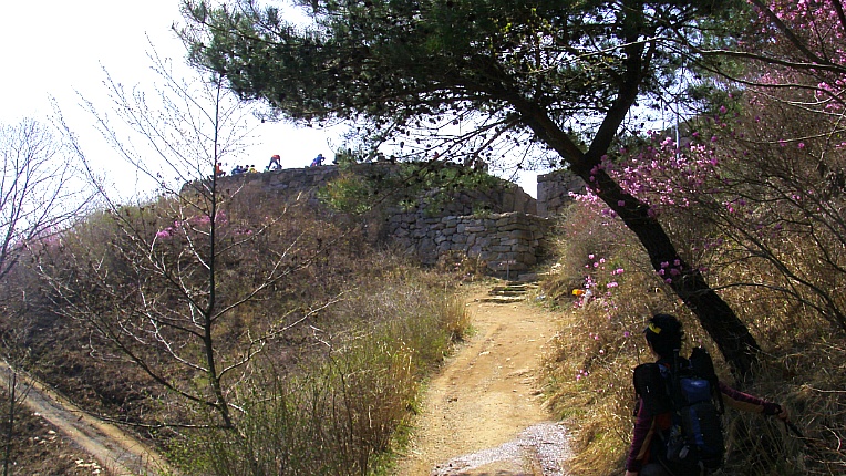 2666313D5529063A14DA2C