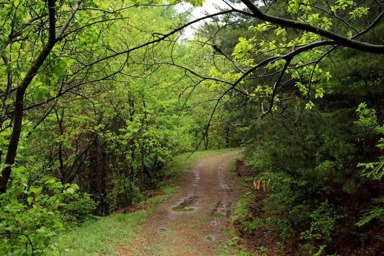 * 지리산 바래봉 산행기 