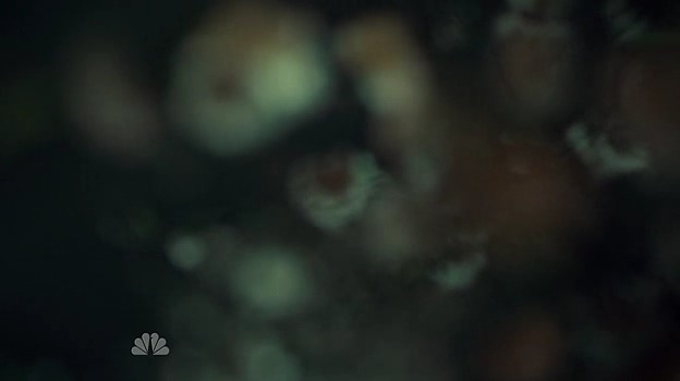 이젠홍콩인지욕망인지모르겠는미드 한니발(Hannibal) 시즌2 에피 7 Yakimono (1/3) | 인스티즈