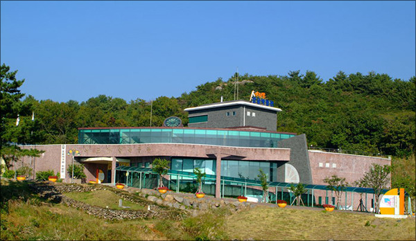 탐라귤빛 이미지