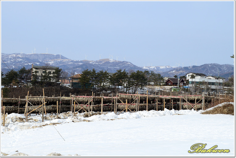 능경봉, 고루포기산 눈꽃산행_20130217