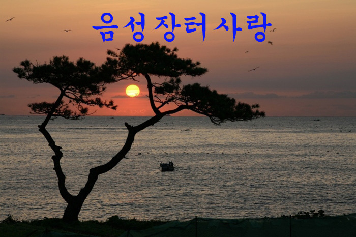 음성,장터,사랑,