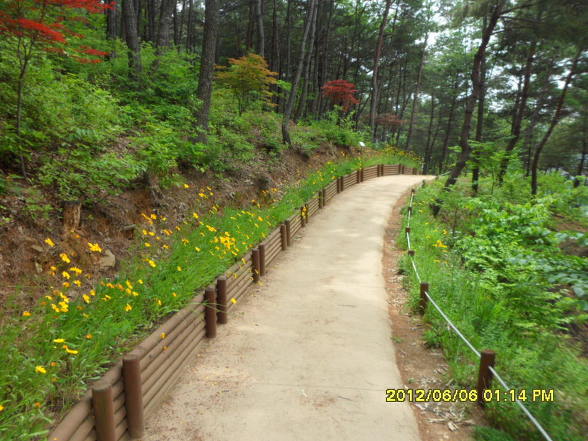 배*성 이미지