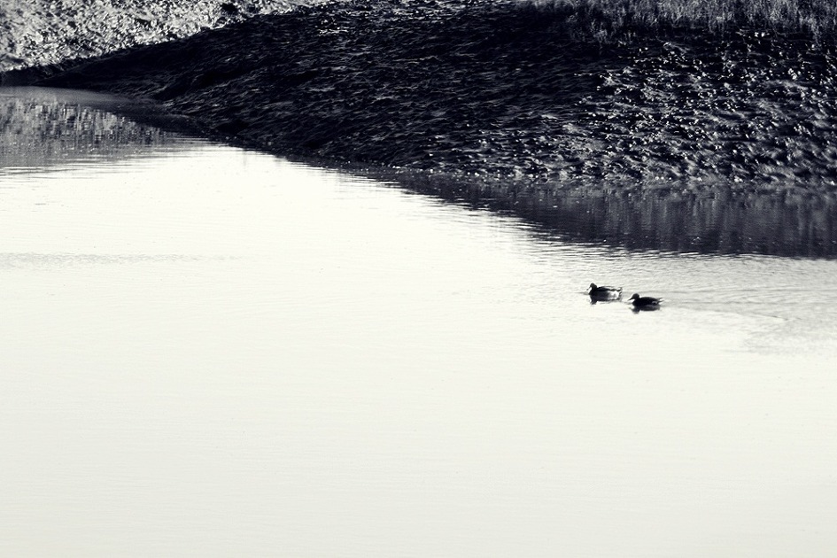 운염도(雲廉島) #333