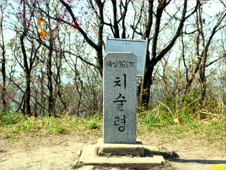 경북모사 이미지
