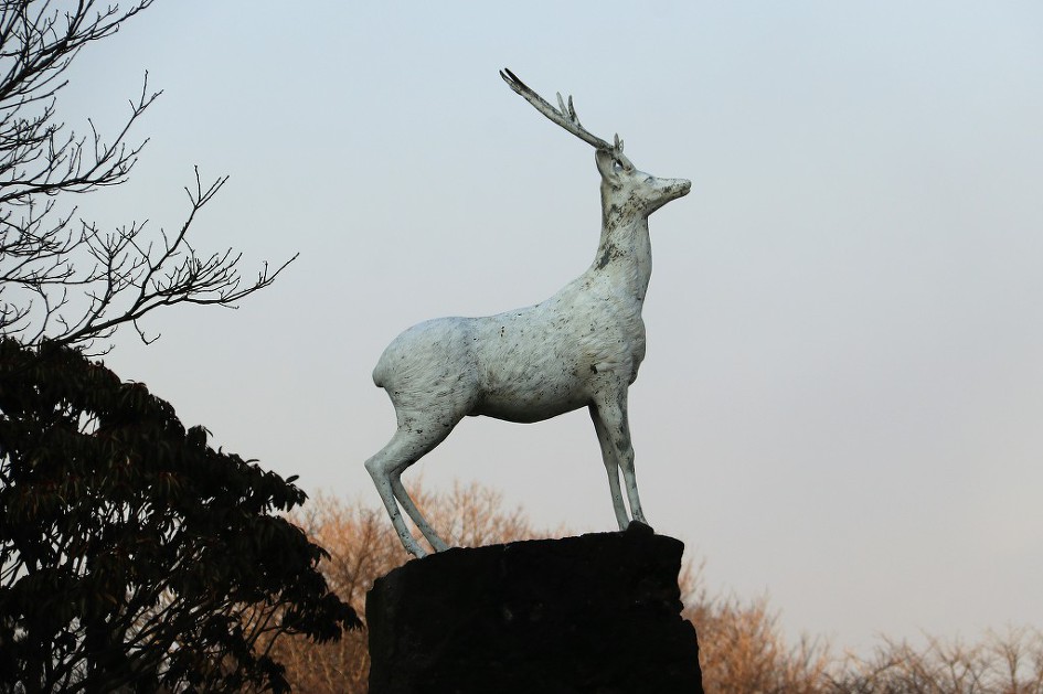 '소피아 로렌의 말   &  제주도 한라산 중턱 1100미터 고지에서'