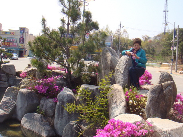 사랑 그리고 그리움