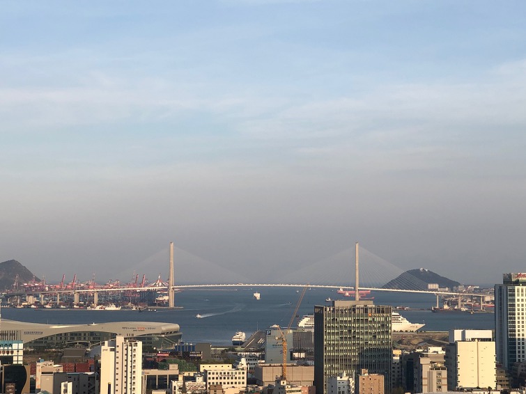 꽃비가 흩날리는 산아래  커피 좀 더 환하게 단장
