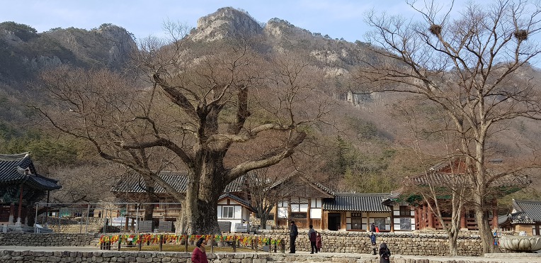 전라북도 부안 내소사