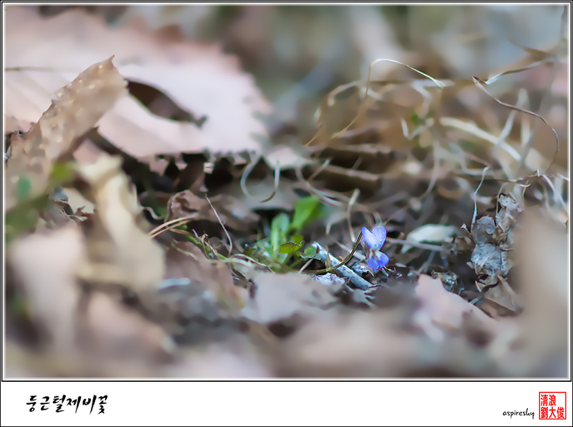 2019.04.04 봄 날 거닐어 본 검단산