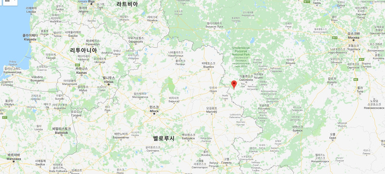 나폴레옹의 러시아원정 (13부) - 대육군의 붕괴