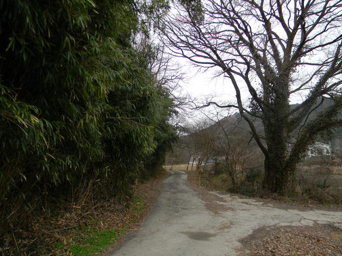 광주 충효동 취가정 (취시가 표석)
