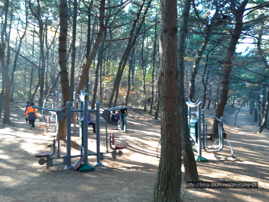 부산 사하구 다대동 아미산(234.1m) 둘레길에서....