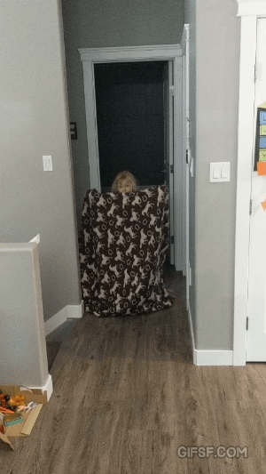 딸이 보여주는 마술 | 인스티즈