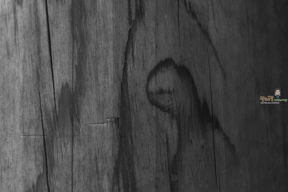 감사합니다. 수보의 사진전을 마치며 