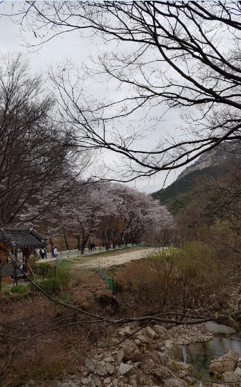 鷄龍山 東鶴寺