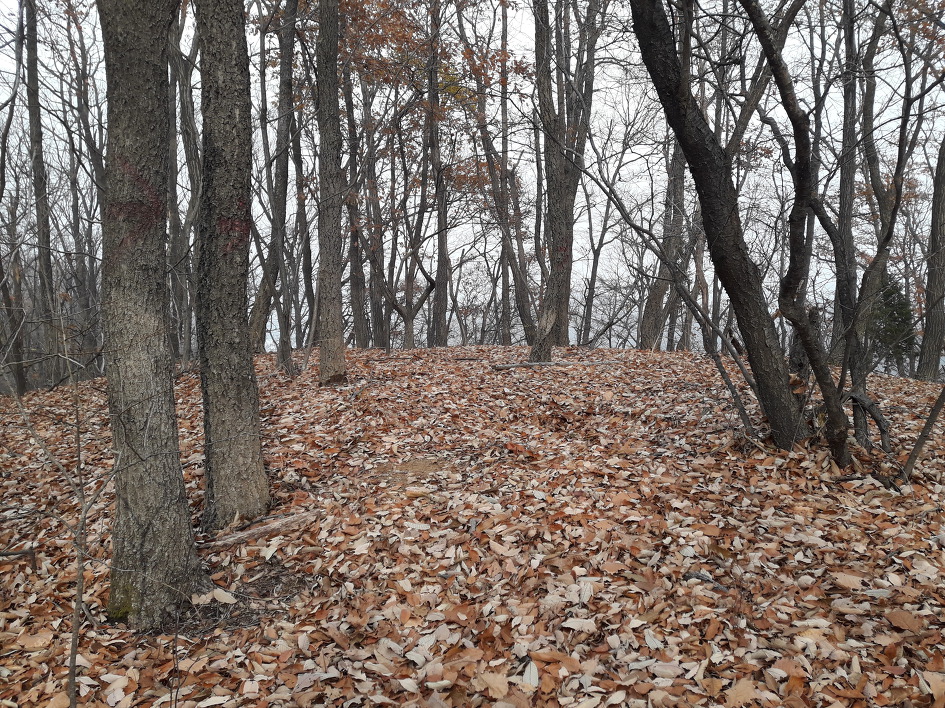 낙엽쌓인 화성 무봉산,함봉산(2018년11월11일)