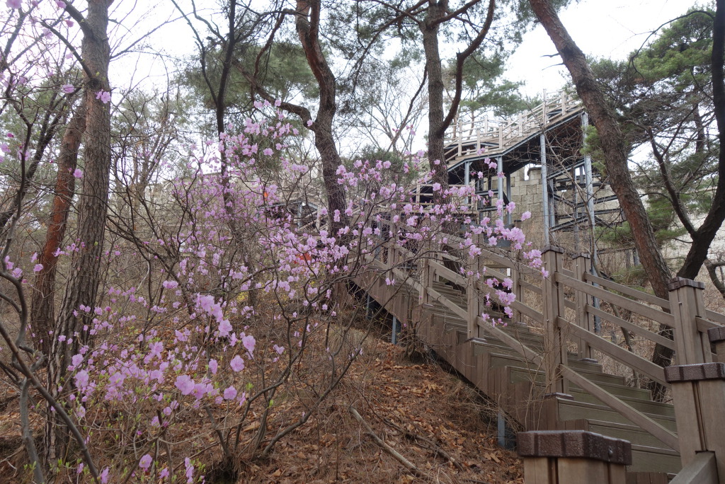 북악산과 북한산 연계 산행(2019.4. 6(토))