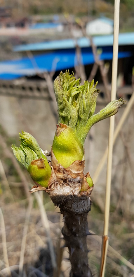 문수산 2019-04-06