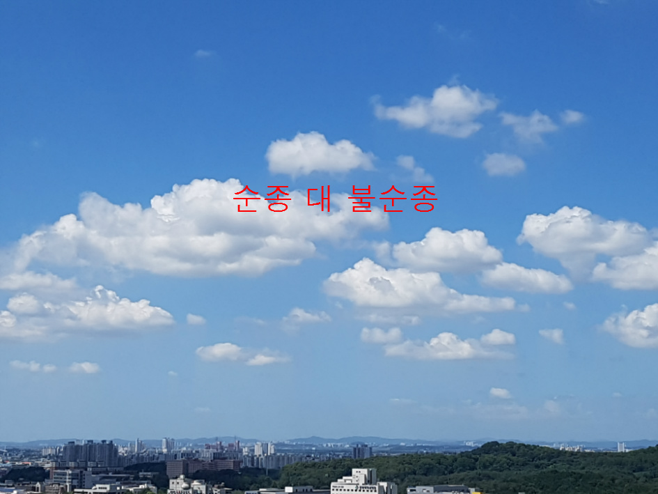 순종 대 불순종, 전주동부교회