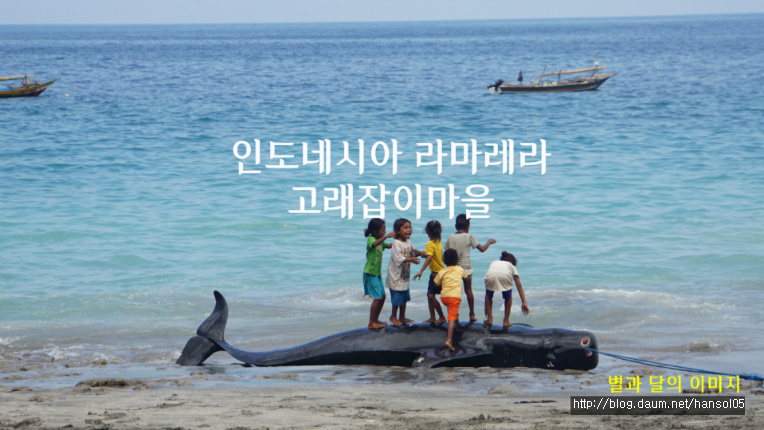 울산 MBC 다큐촬영