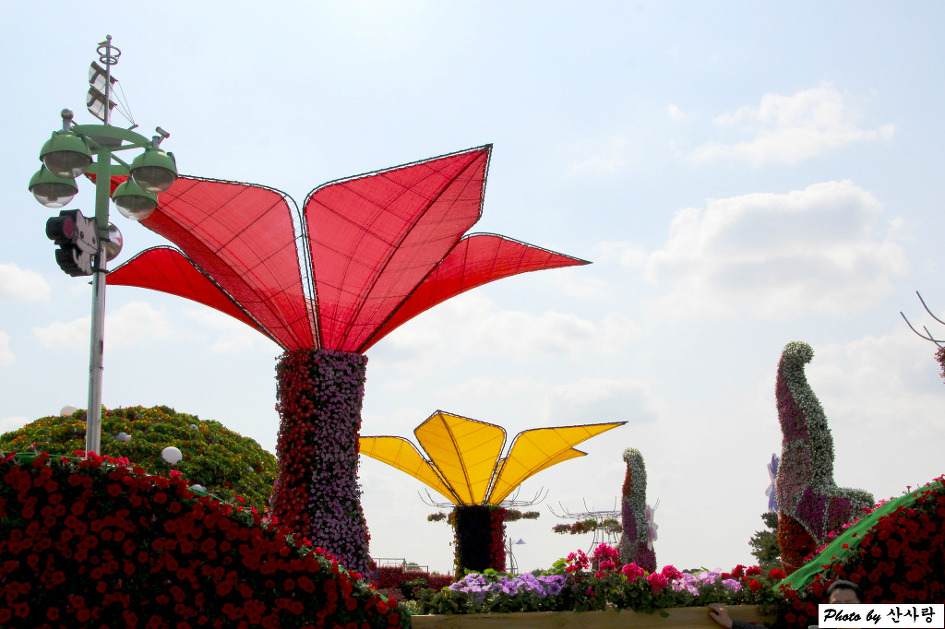 일산 호수공원 꽃 박람회(18.5.8일(화))