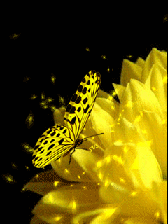 418 큐티 립 원피스