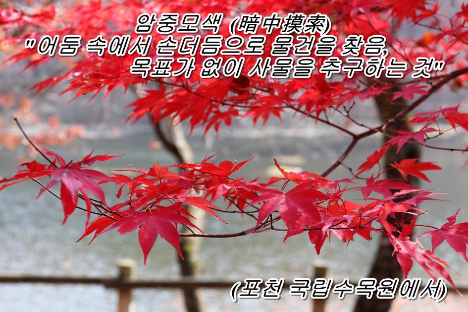 암중모색 (暗中摸索)