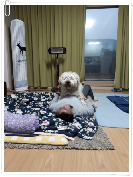 (여주게스트하우스 산새랑) 내가 졌다!