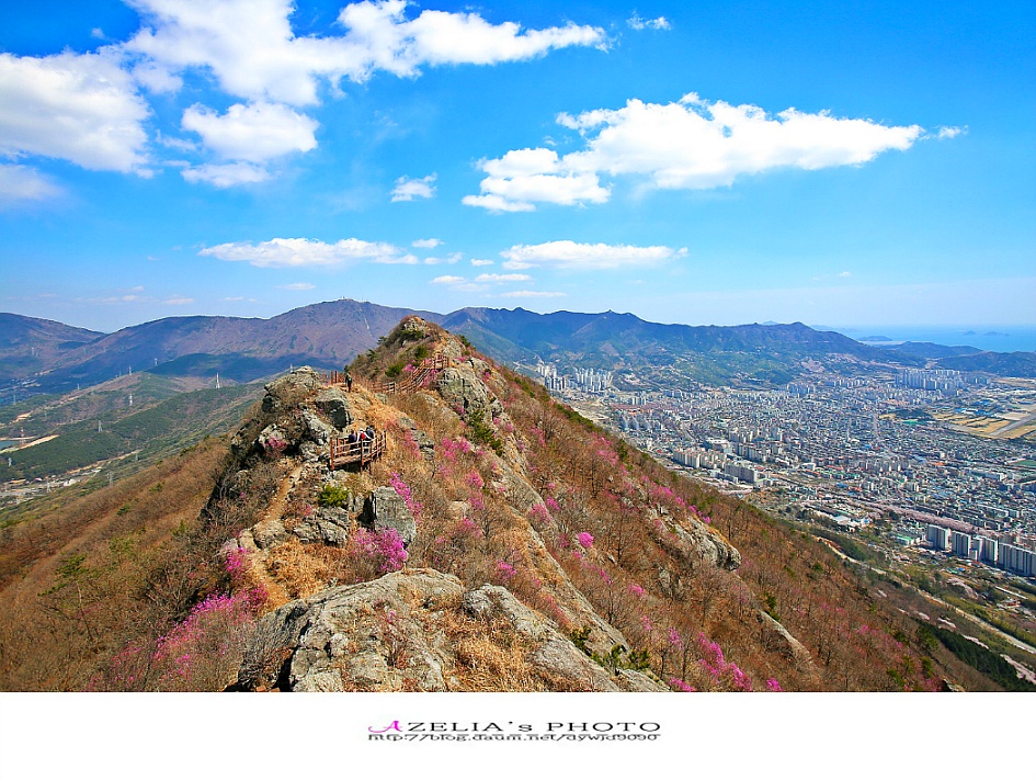 경남 진해 산행(1부)/장복산(덕주봉)&산벚꽃.진달래 핀 멋진 능선길을 따라서 .. 【19년3월31일】 