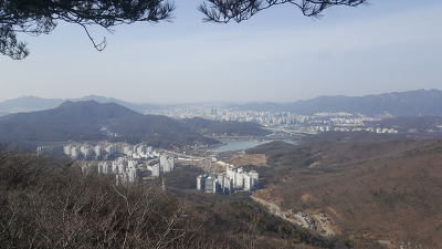 [하루 한문장]