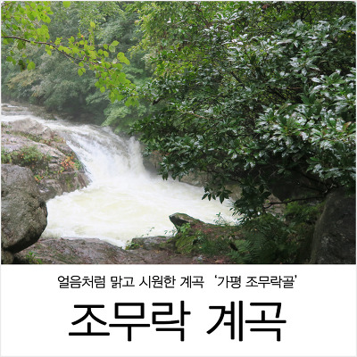 조몰락 이미지